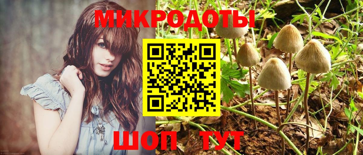 Новодвинск  Галлюциногенные грибы GOLDEN TEACHER  Вход с VPN 